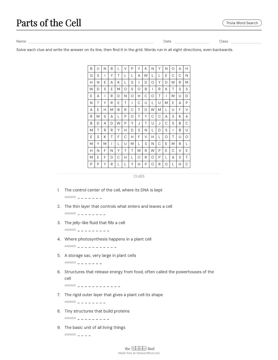 A real printout from the maker: a Parts of the Cell clue word search with Name, Date and Class lines, a 15 by 15 grid and numbered clues with answer lines